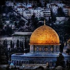 free gaza