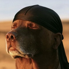zzz