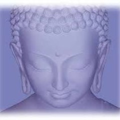 tushentsov  (くコ:彡)