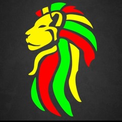 Little Lion Selector