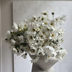 transmissiondepensée