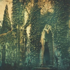 Ivy & The Shadow: Conversations Between Worlds