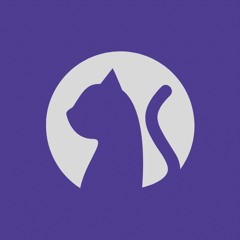 el gato loco studios