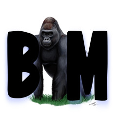 Black Gorilla LLC
