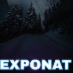 EXPONAT