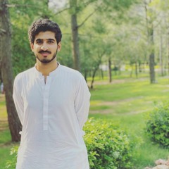 Mosavir Shahwani