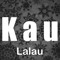 DJ Kau Lalau