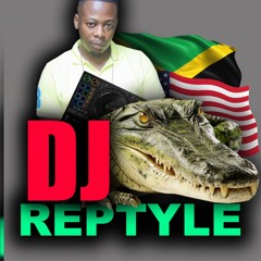 Dj reptyle56