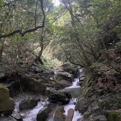 九郎丸隼