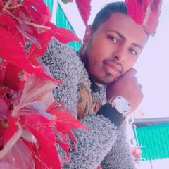 احمد ذكي