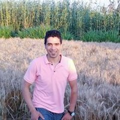 محمود الجوهرى