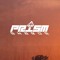 Prism Shards