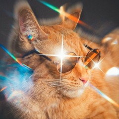 Aooqiqiqiqiqiqiqiqi [SimbRock]