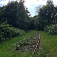 avondster
