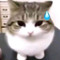(눈‸눈)
