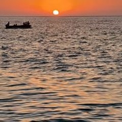 الموحد الموحد