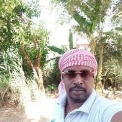 Arafa Alsafer Samara