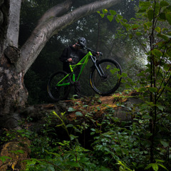 Hl.mtb781