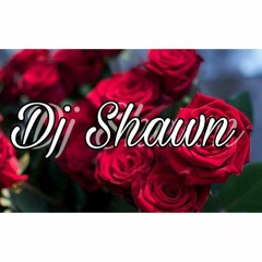 DJ SHAWN - I AM FROM THE STREET !