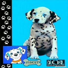 The Board of Major, Inc's MVP List S&P 500.