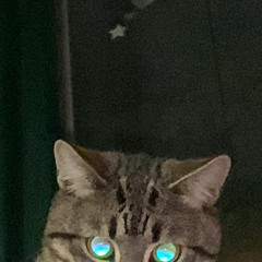 larisasasa