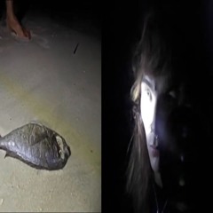 Thank you for everything