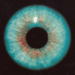 Kateryna Goncharenko