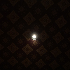 Luyluy2