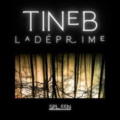 TiNeb LaDéprime