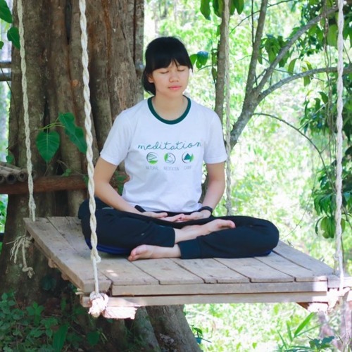 Pa Pae Meditation Retreat’s avatar