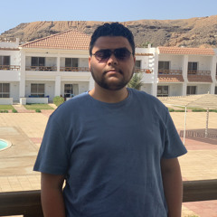 ahmed salah