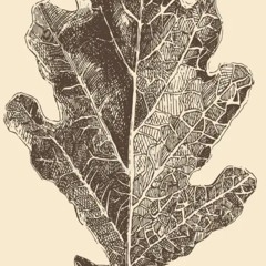 civilian unwilling to be sacrificed and abused