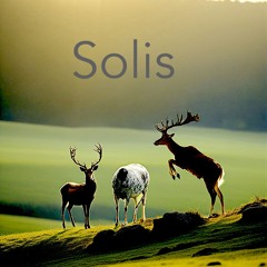 Solis