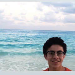 mohamed elshrief