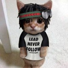 trel lol