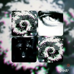 L○●VA 🌱
