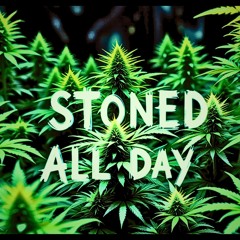 StonedAllDay LachKobain