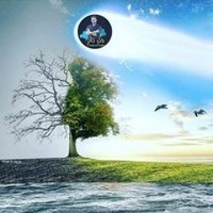 بوكة بدادي