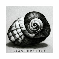 Gasteropod