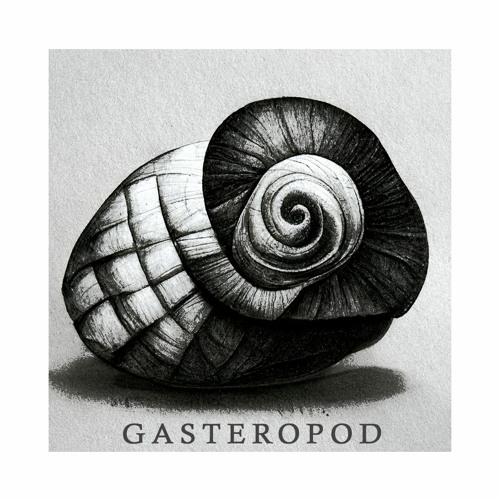 Gasteropod’s avatar