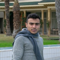 Anis Mahjoub