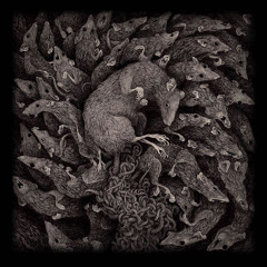 Rat King