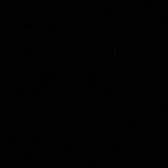 Максим Краснопеев