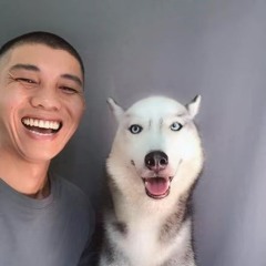 djdark
