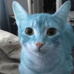 ST