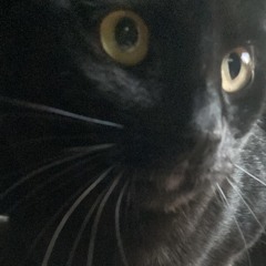 tre