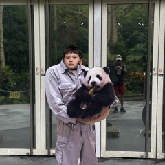 Pandas