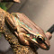 HexFrog
