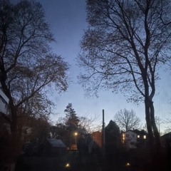 ASH🕸️🔥🌫️