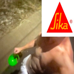 Sikaa
